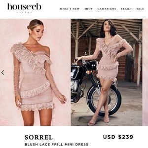 BLUSH LACE FRILL MINI DRESS